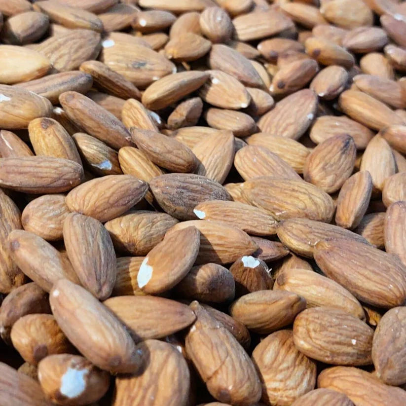 ALMOND SANORA WO SHELL LOOSE 100