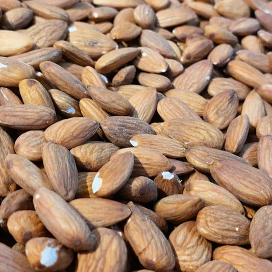 ALMOND SANORA WO SHELL LOOSE 50 GM